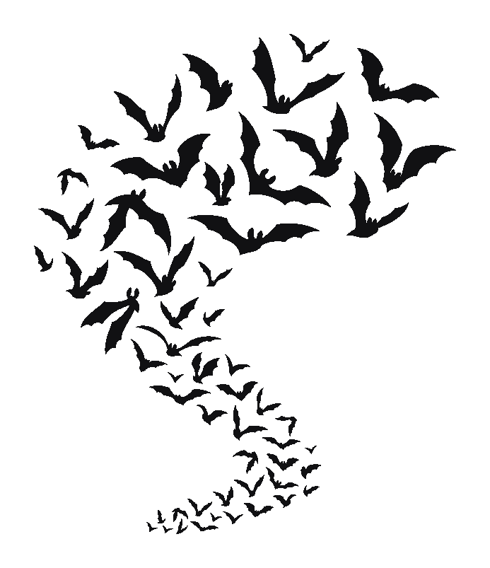A swarm of bats